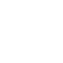 BRAZILIAN EXPERIENCE
